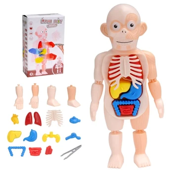 1Set Interactive ABS Anatomie 3D Joc de Puzzle cu Anatomia Organelor Blocuri de Jucărie Stivuire Bloc Puzzle Set Rechizite