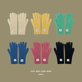 Coreea de Etichetare Lung Mănuși pentru Femei Expuse Atingere cu Degetul a Ecranului de Toamnă și de Iarnă Tricotate Cald Încheietura mâinii Protecție Mănuși pentru Bărbați