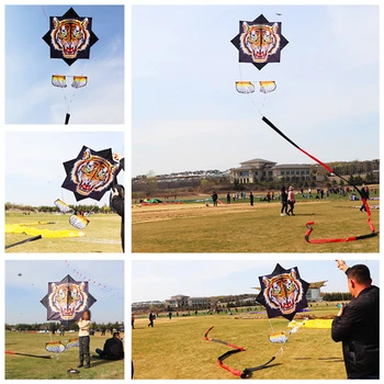 transport gratuit tigru bârfă zmeu 15m coada nailon zmeu sport kite surf-bar in aer liber brinquedos model glid